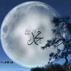 محمد المعتصم