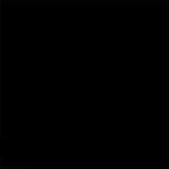 t h e      y o u n g        m a c h e t e s