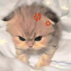 @cutii vay troi