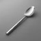 spoonmaster