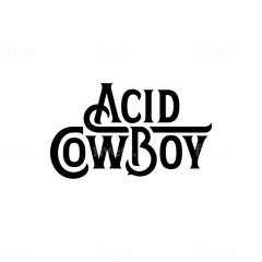 Chapell Roan - Pink Pony Club (Tech House Remix)