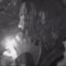 yxng kelo+ [@yxng.kelo]