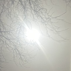 ‎ ‎ ‎ ‎