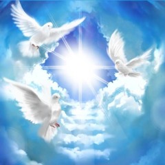 CityOfDoves