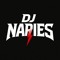 dj_naries