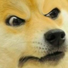 D O G E