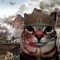 Catm1sha