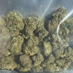 murder in the first degree