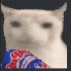 ChipsCat