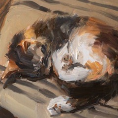 megalavaniya ｡◕‿◕｡