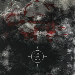 Flies Are Spies From Hell