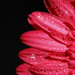 ab7osam