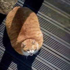 Tender Taint Remixes