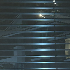remora