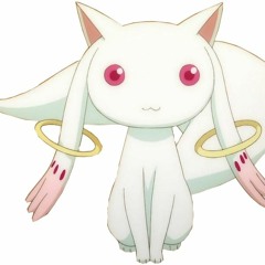 -----------------------