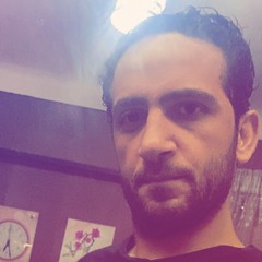 Hassan El Sadany