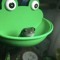 frog beats