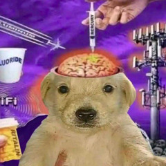 Tinnitusrakete