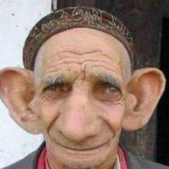 касич