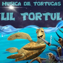 lil tortu