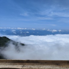 Nguyễn Văn Cương