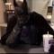 daviix_10