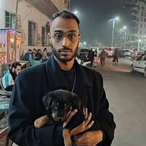 Mohamed Abdelaty’s avatar