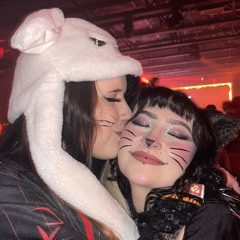kitten