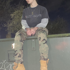 ÆLEX
