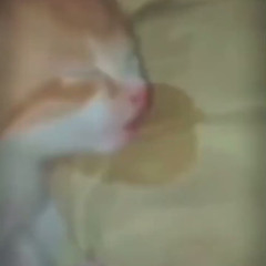 KidNamedBinger