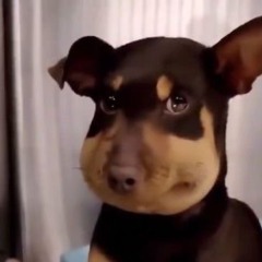 iwantlexusis350fsport