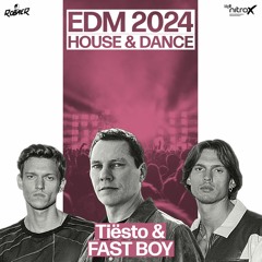 Robaer / EDM 2024 House & Dance by bigFM nitroX