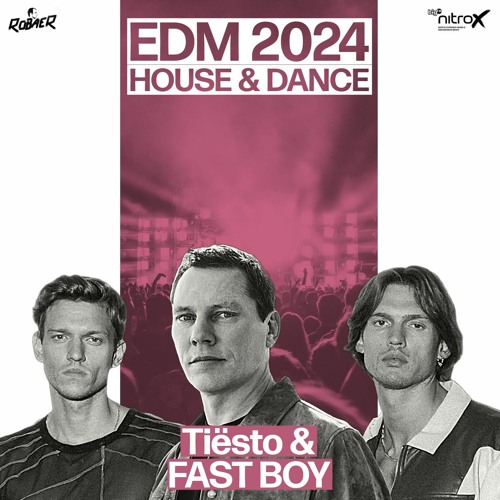 Robaer / EDM 2024 House & Dance by bigFM nitroX’s avatar