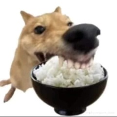 минт