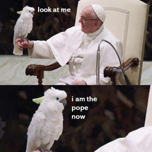Pope Louie’s avatar