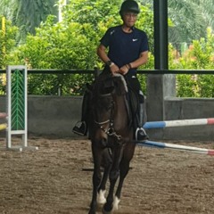 Dwisulis Tiyono
