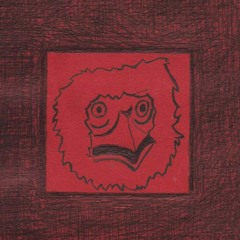 Espanta Pajaros