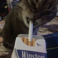 Tristan