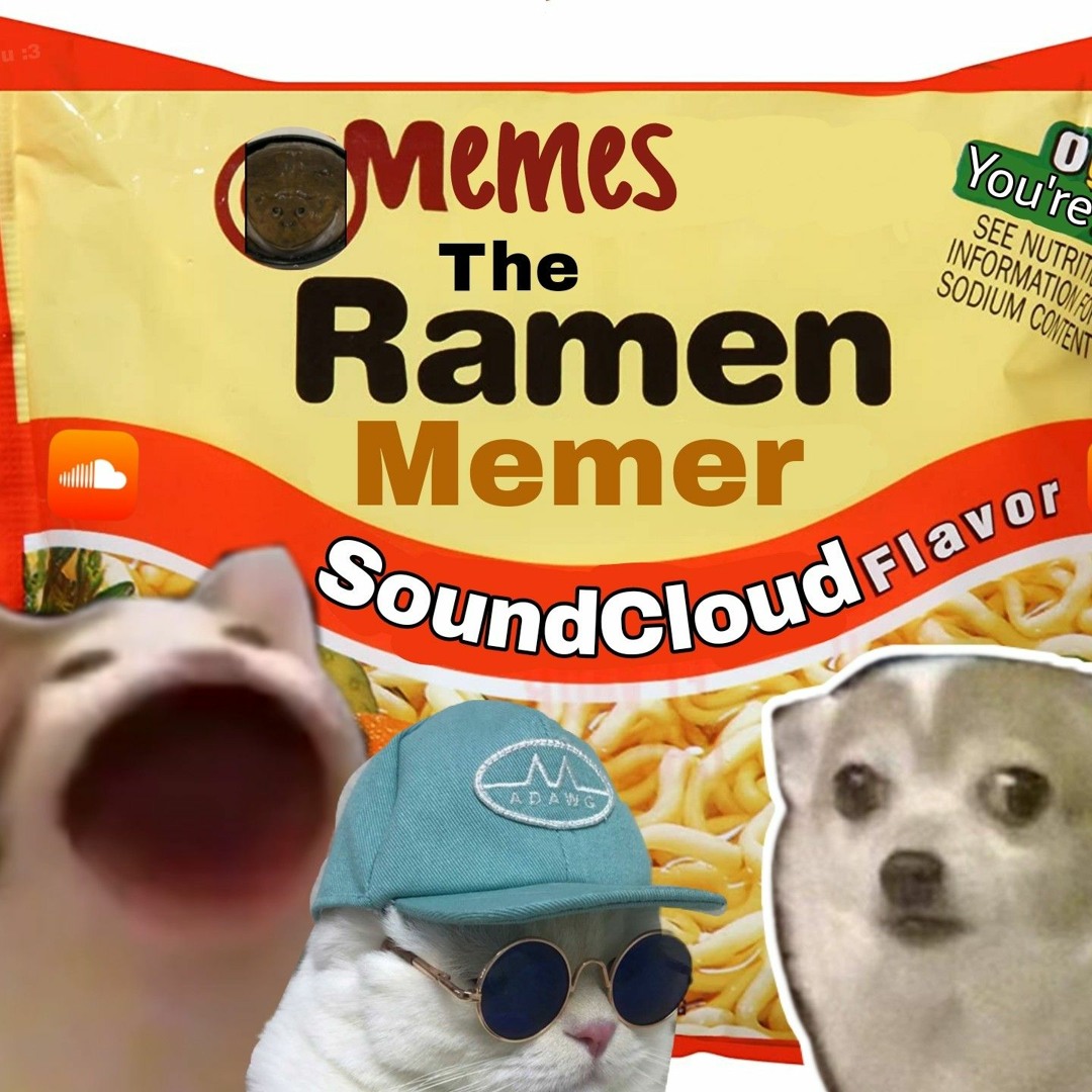 The Ramen Memer’s avatar