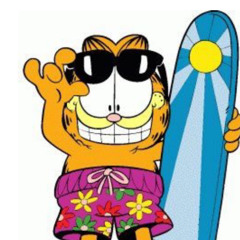 Garfield Show