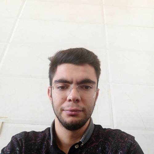 mohammad abdi’s avatar