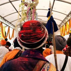 ਜਿਗਿਆਸੂ 🌿⚔️🐊
