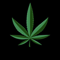 - STONED - 🍁