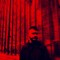 Deckard | Structur