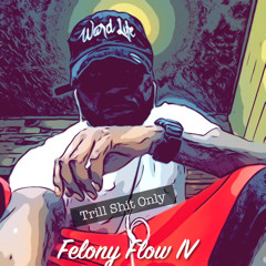 Felony Flow IV