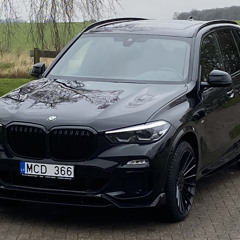 nerijus marcinkevicius