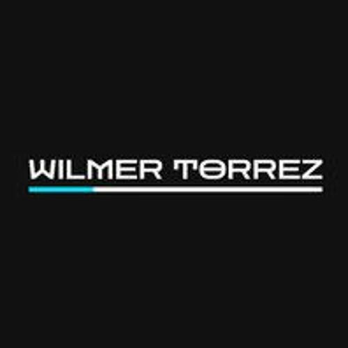 Wilmer Torrez’s avatar