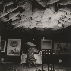 WIM P.