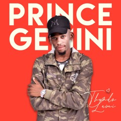 Prince Gemini