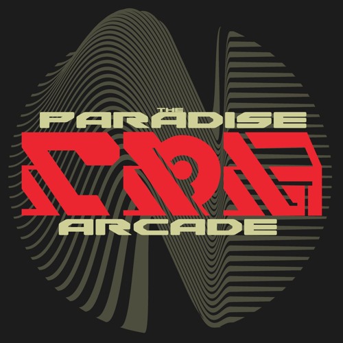 The Paradise Arcade artist photo
